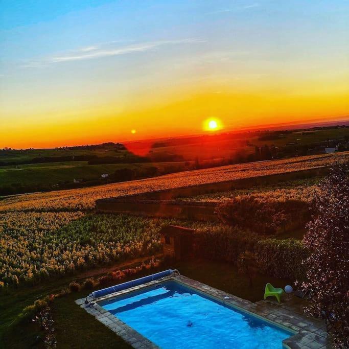 Au Coeur Des Vignes Moulin A Vent Apartment La Chapelle-de-Guinchay Екстериор снимка