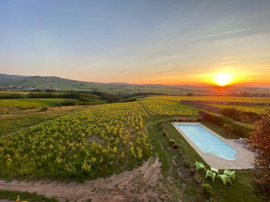 Au Coeur Des Vignes Moulin A Vent Apartment La Chapelle-de-Guinchay Екстериор снимка